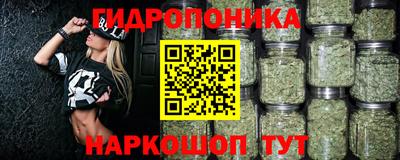 шишки Кулебаки